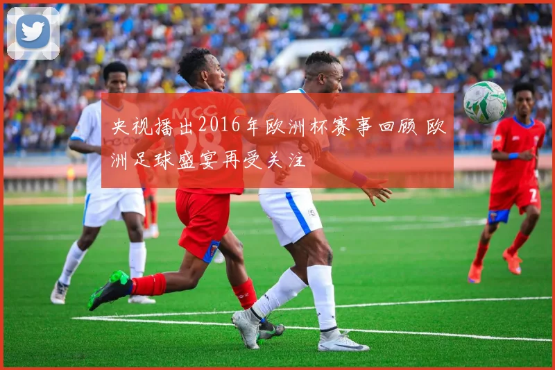 央视播出2016年欧洲杯赛事回顾 欧洲足球盛宴再受关注