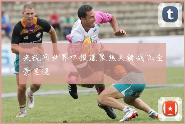 央视网世界杯报道聚焦关键战况全景呈现