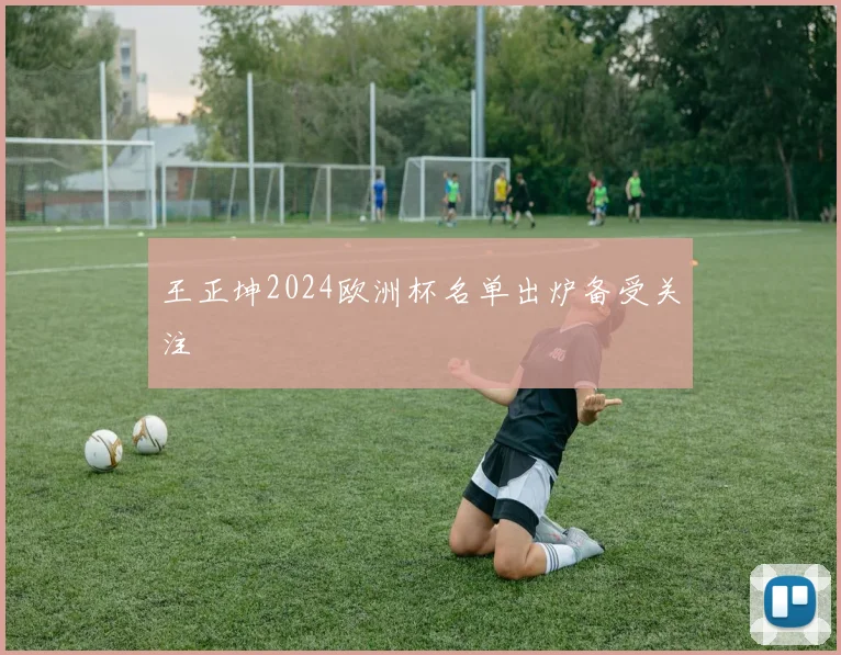 王正坤2024欧洲杯名单出炉备受关注