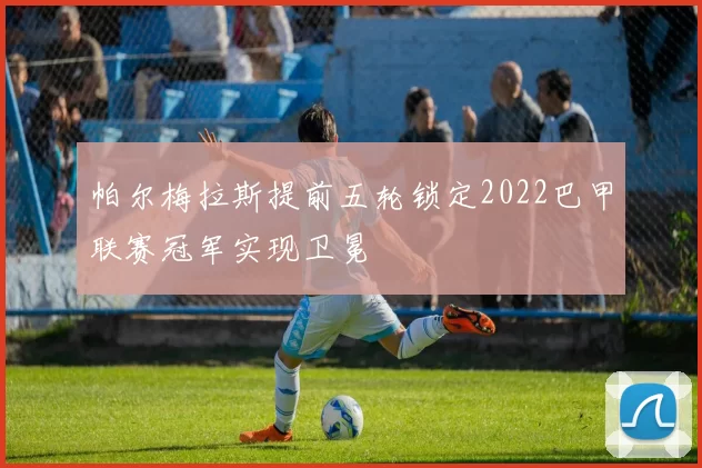 帕尔梅拉斯提前五轮锁定2022巴甲联赛冠军实现卫冕