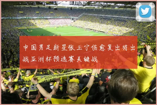 中国男足新星张玉宁伤愈复出将出战亚洲杯预选赛关键战